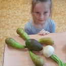 Projekt Ovoce a zelenina