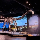 muzeum dinosaurů