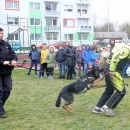 šd policejní pes